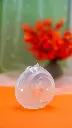DSC09342.webp