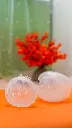 DSC09343.webp