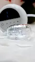 DSC00167.webp