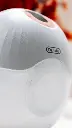 DSC00181.webp