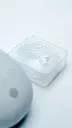 DSC00691.webp