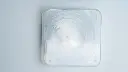 DSC00690.webp